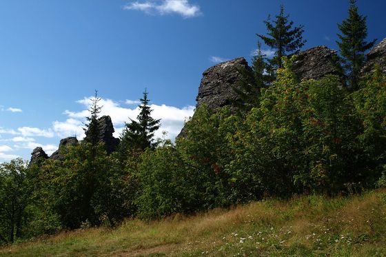 В Прикамье проходит VIII Пермский инженерно-промышленный форум