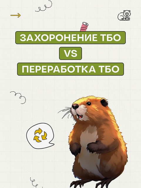 Что выбрать: захоронение или переработку твердых бытовых отходов?